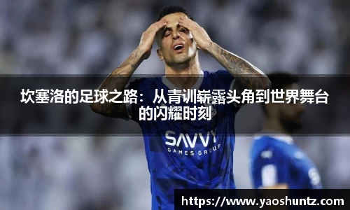 坎塞洛的足球之路：从青训崭露头角到世界舞台的闪耀时刻